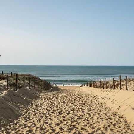 Apartment Pour 3 A Plage, A 50m De L'ocean Avec Terrasse Et Parking, Menage Inclus - Fr-1-50-123 Mimizan